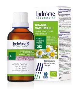 Grande camomille - extrait de plante fraîche BIO, 50 ml